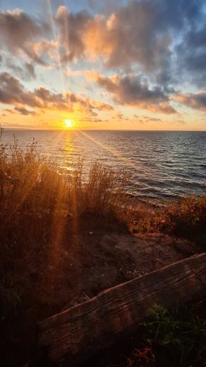 Radreise Dänemark 2025 #390, Fyn, Sjælland, Møn, Lolland, Langeland, Ærø, August 2025